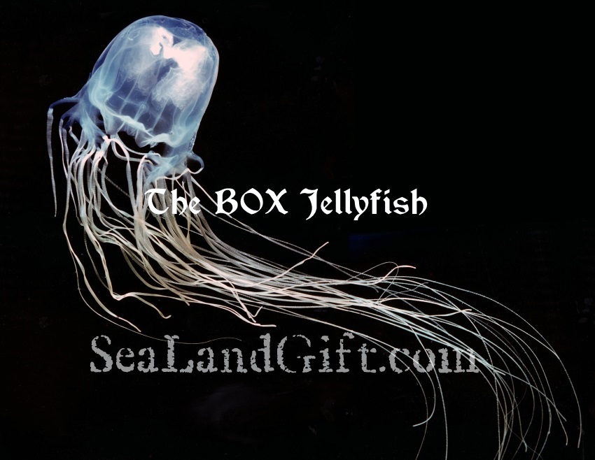 most venomous sea creature on earth true story